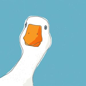 subgoose