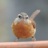 Wren